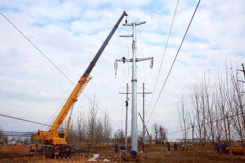 2021春季電力報告配網供給篇丨配電投資連超輸電 網架結構迭代升級 供（配）電業務