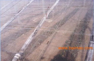 泰安EVA薄膜 品牌EVA大棚膜全資訊